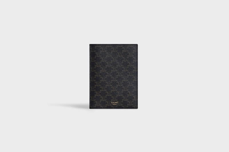 celine triomphe canvas handbags