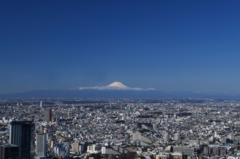 shibuya sky tokyo new landmark night view fuji mountain