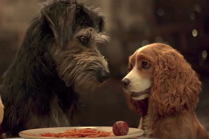 重拾童年回憶:真人版《小姐與流氓》釋出長篇預告,這次不在電影院上映!