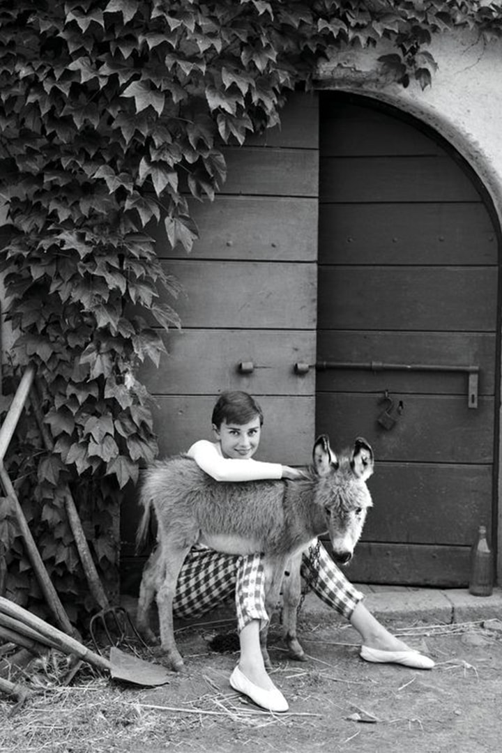 Audrey Hepburn With Donkey
