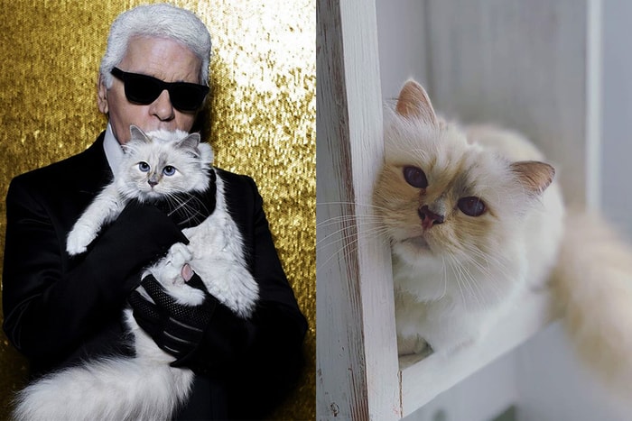 Karl Lagerfeld 的愛貓去了哪裏？悄悄地開設 IG 分享萌爆日常