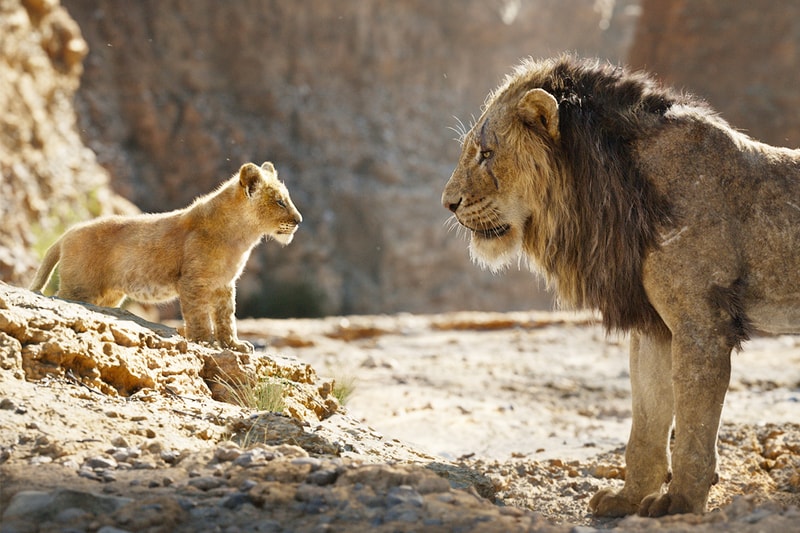 elton john the lion king remake reaction Huge Disappointment