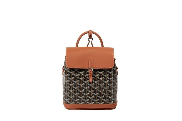 goyard alpin mini handbags backpack new 2019 3 ways