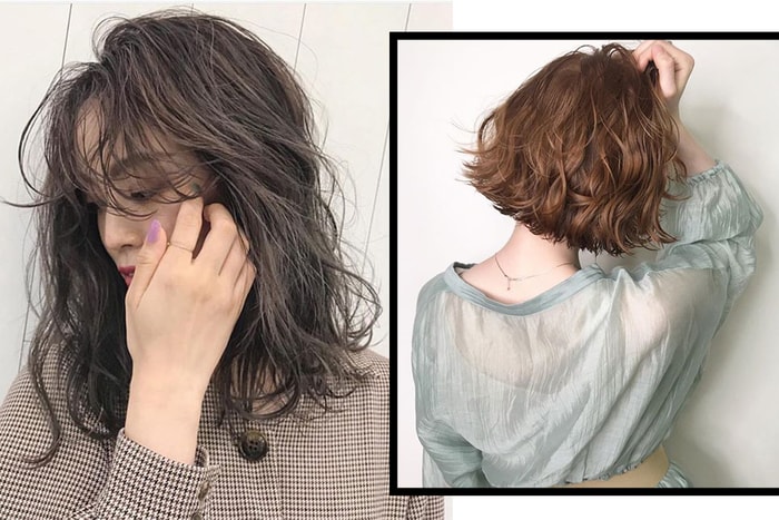 頭髮愈剪愈易長?歐美髮型師破解謬誤!