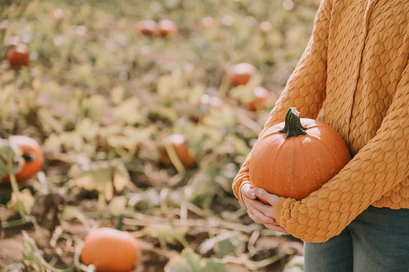 Halloween Blue Pumpkin buckets