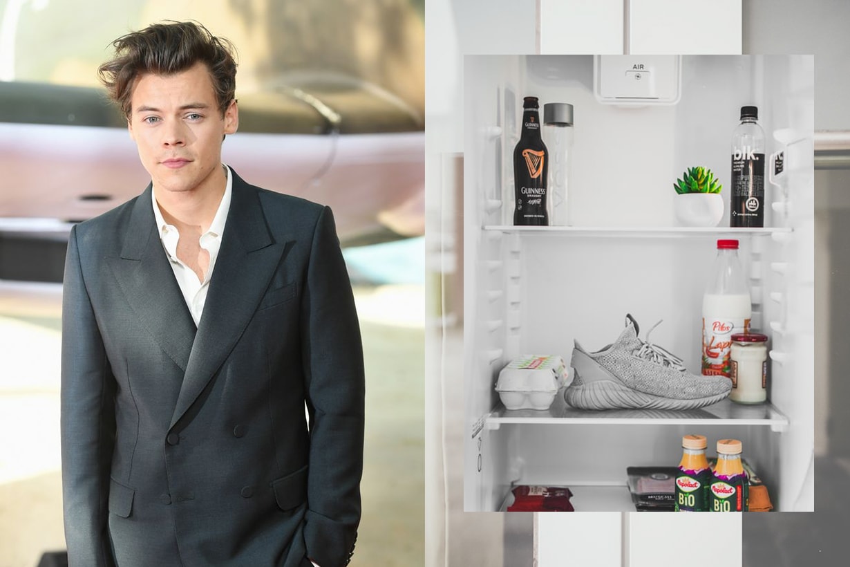 Harry Styles Fashion Refrigerator