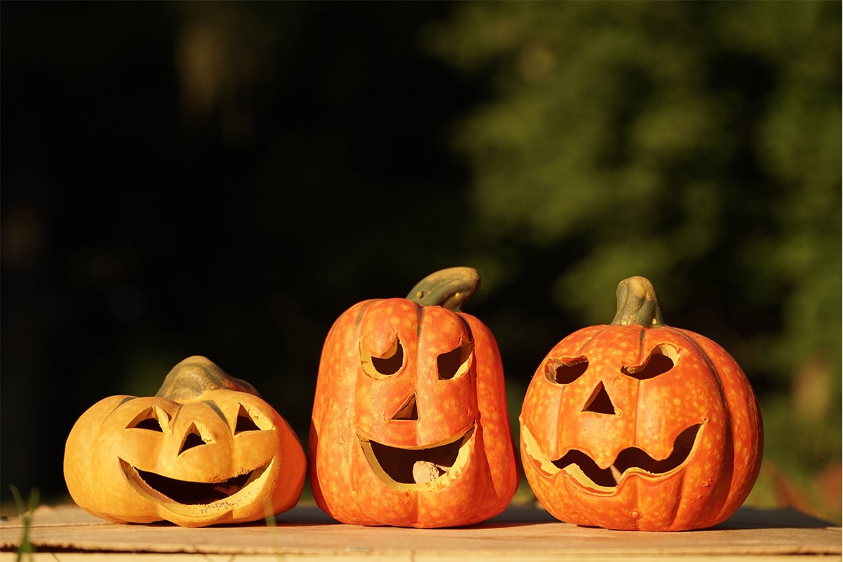 Halloween True story horror story Halloween movies Trick or Treat Michael Myers Stanley Stiers