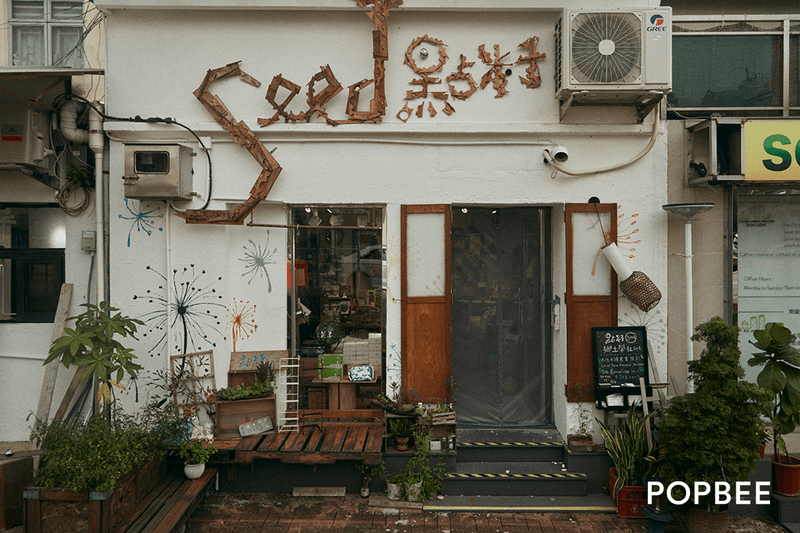 Hong Kong Sai Kung Seed
