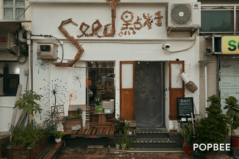 hong-kong-sai-kung-seed