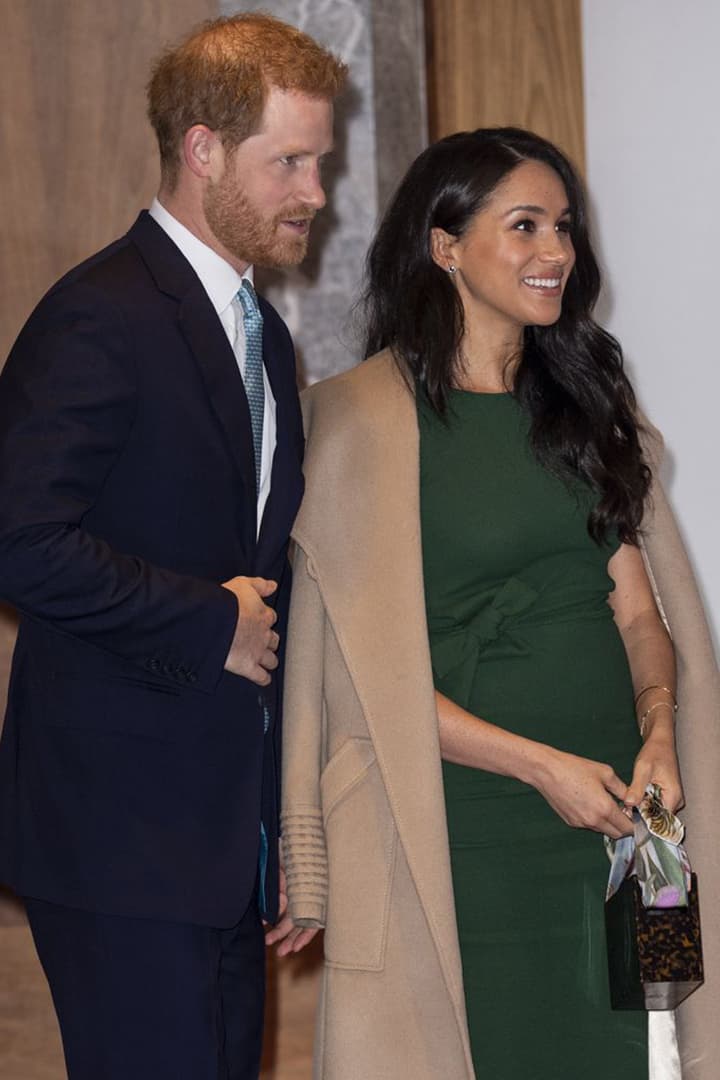 Meghan Markle's Parosh Dress and Montunas Bag