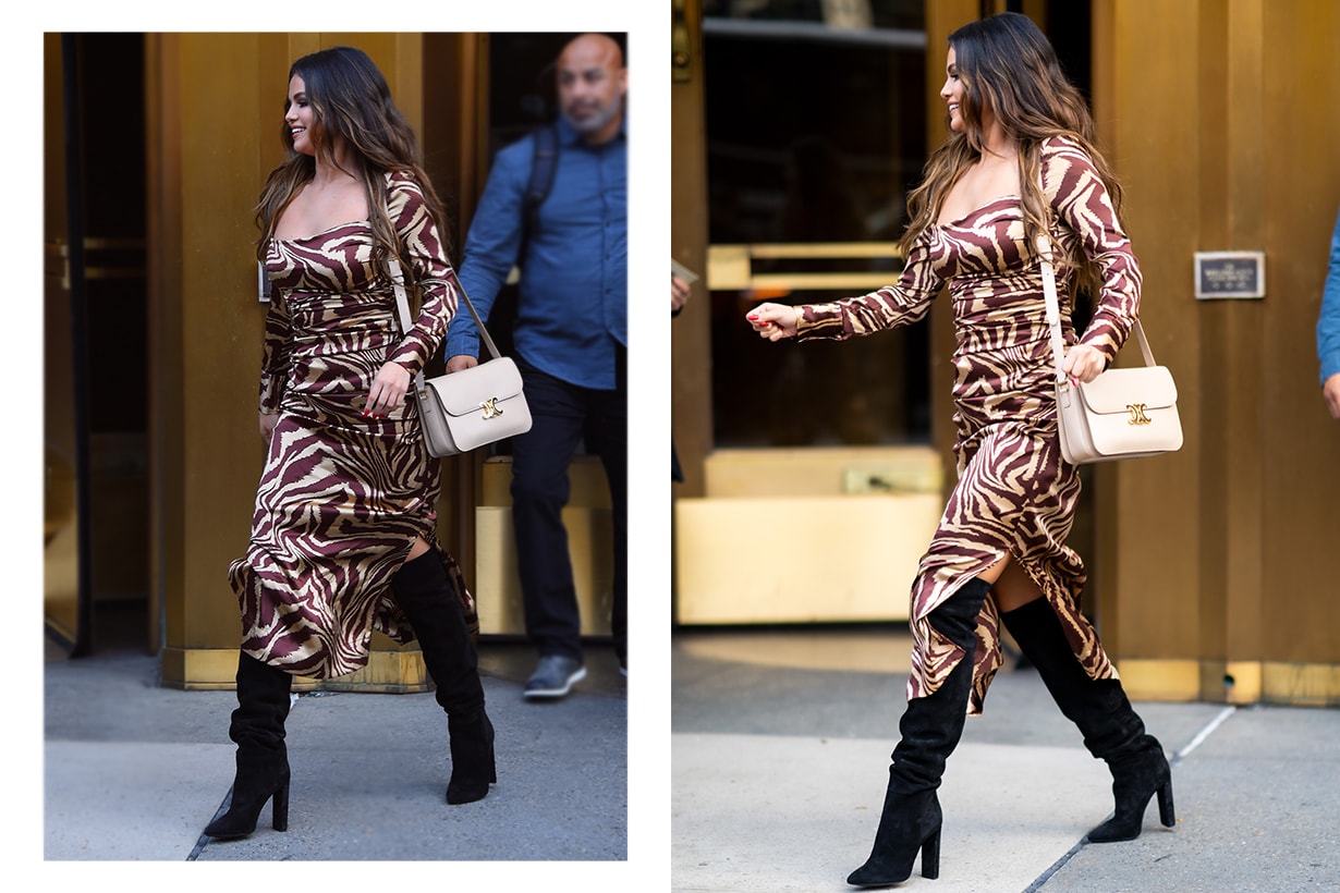 Celine Triomphe Handbag Celebrities Outfit Style