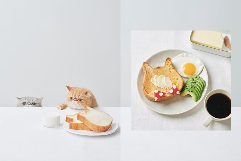japan Heart Bread ANTIQUE Neko Neko Shokupan cat toast popspots instagram