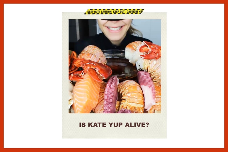 Kate Yup Youtuber Mukbang Internet Rumours Kidnapped Mystery SOS I'll Kill You HELP Netizens psychology