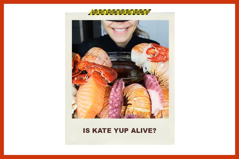 Kate Yup Youtuber Mukbang Internet Rumours Kidnapped Mystery SOS I'll Kill You HELP Netizens psychology