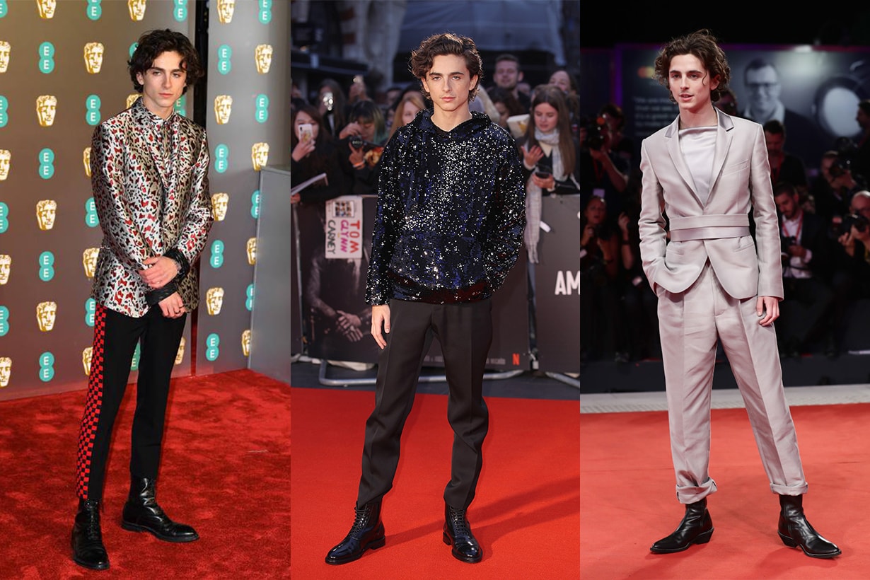 Timothée Chalamet Red Carpet Look