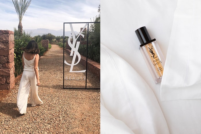 Saint Laurent 悄悄在摩洛哥蓋了一座花園,原來是為了這個稀有產品!