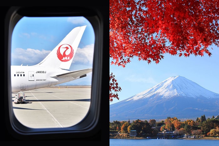 把握機會:2020 年日本 JAL 航空要送出 100000 張免費機票給外國旅客!