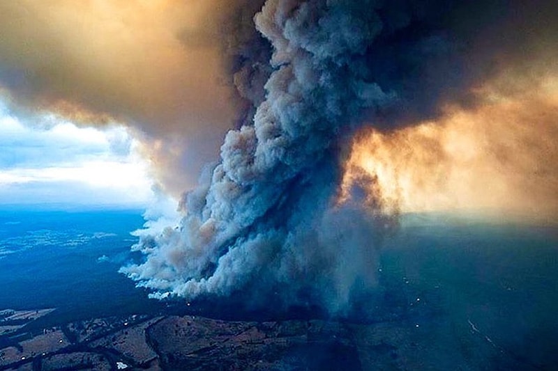 Lotte Rakuten Koalas March AKF Australia bushfire
