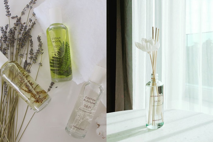 除了美妝、保養,其實 Innisfree 還有這個隱藏版人氣商品!