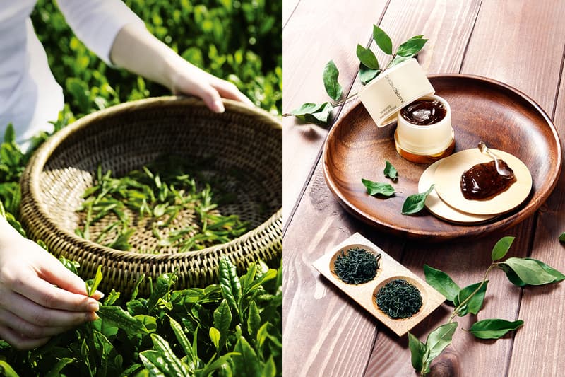 amorepacific ap vintage single extract essence