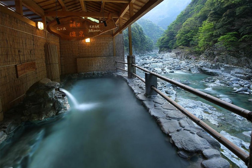 japan sakura prediction travel hotel