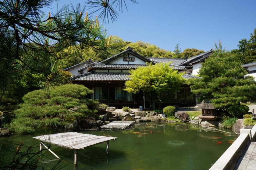 japan sakura prediction travel hotel
