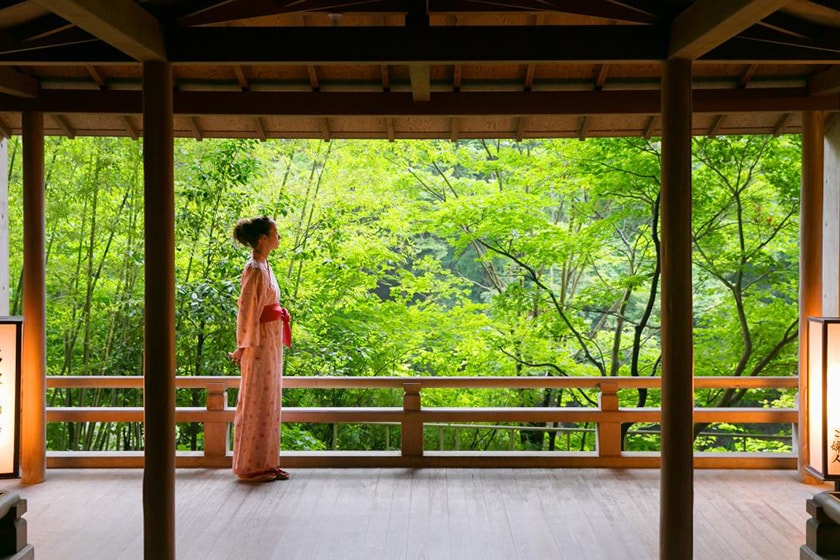 japan sakura prediction travel hotel