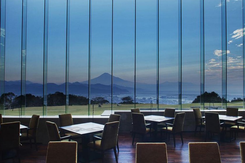 japan sakura prediction travel hotel