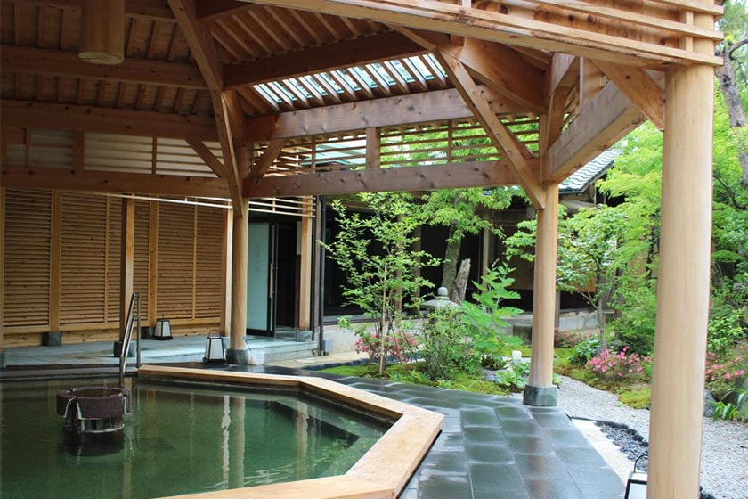 japan sakura prediction travel hotel