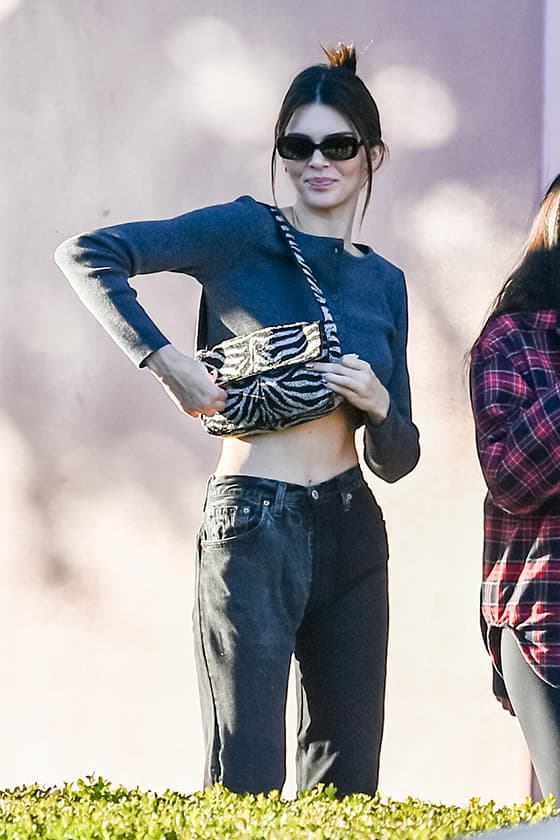 kendall jenner staud zebra tommy bag