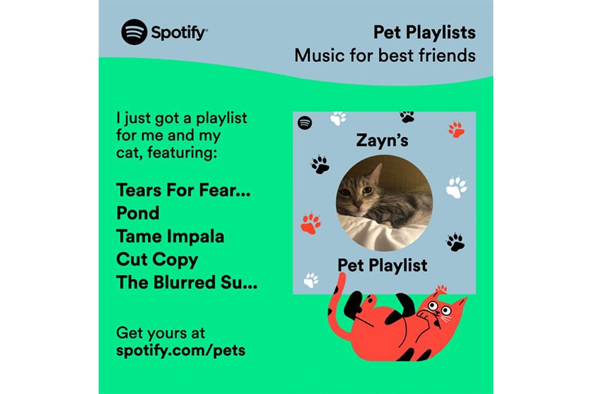 spotify for pets playlist function music algorithm