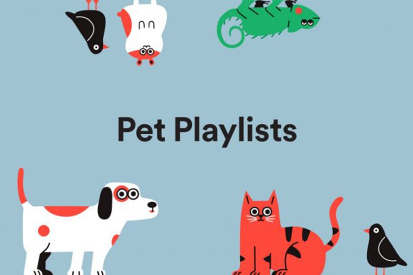 spotify for pets playlist function music algorithm
