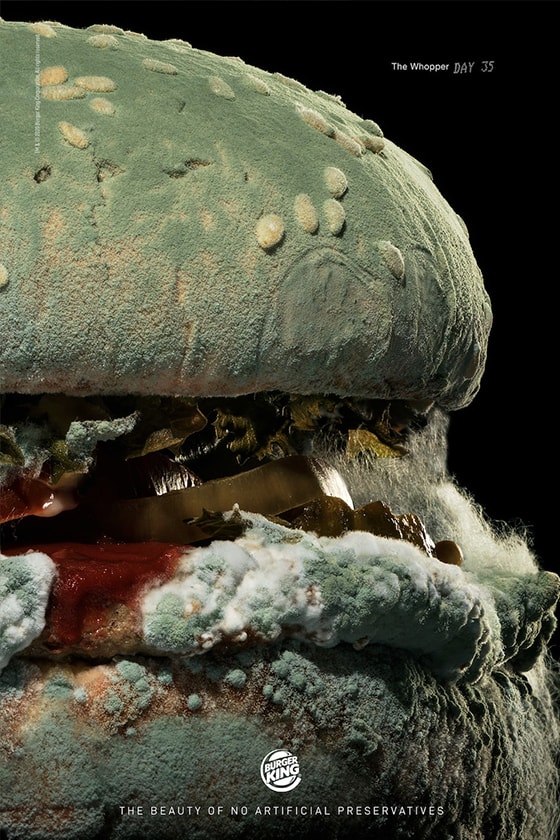 burger king mould ad