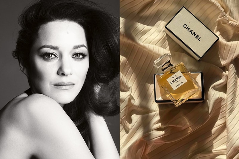 chanel no 5 perfume new face ambassador marion cotillard