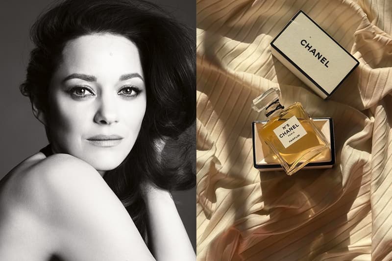 chanel no 5 perfume new face ambassador marion cotillard