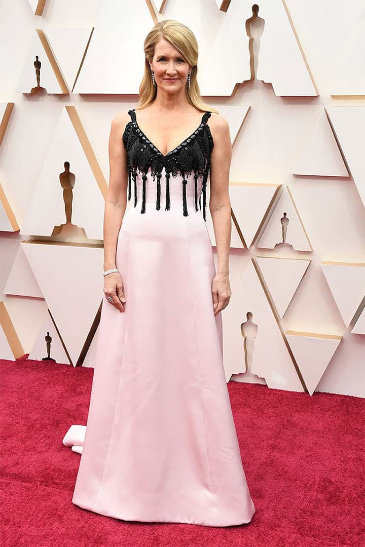 Laura Dern Red Carpet Look