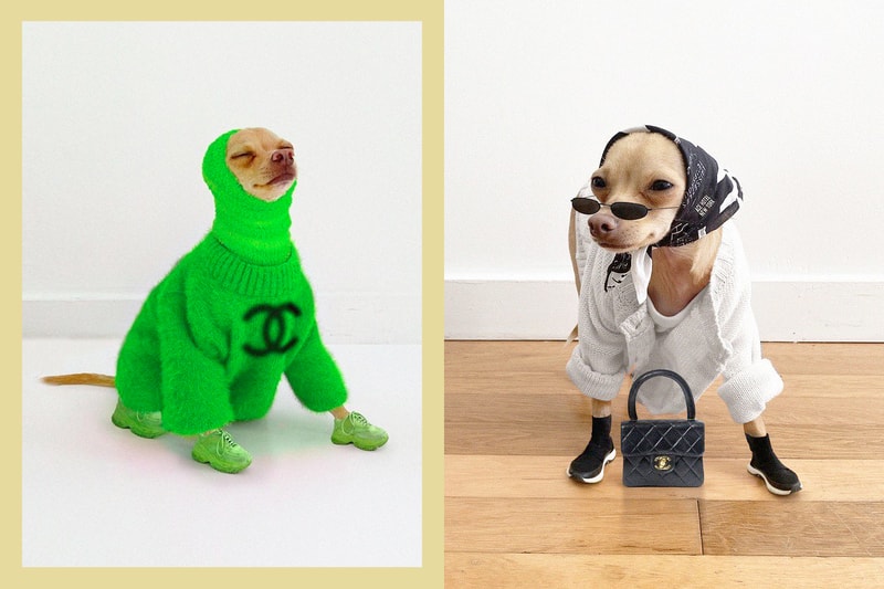 boobie_billie chanel micro influencer fashion handbags Jacquemus Louis Vuitton dog pet
