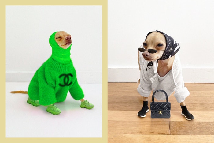 最迷你的 Fashion Influencer:Boobie 每天 #OOTD 的行頭,完全是女生們的夢幻清單!