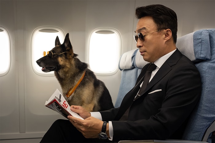 《好狗特攻隊》影評:一部歡樂喜劇,帶出的卻是人類對動物視若無睹的殘酷現狀!