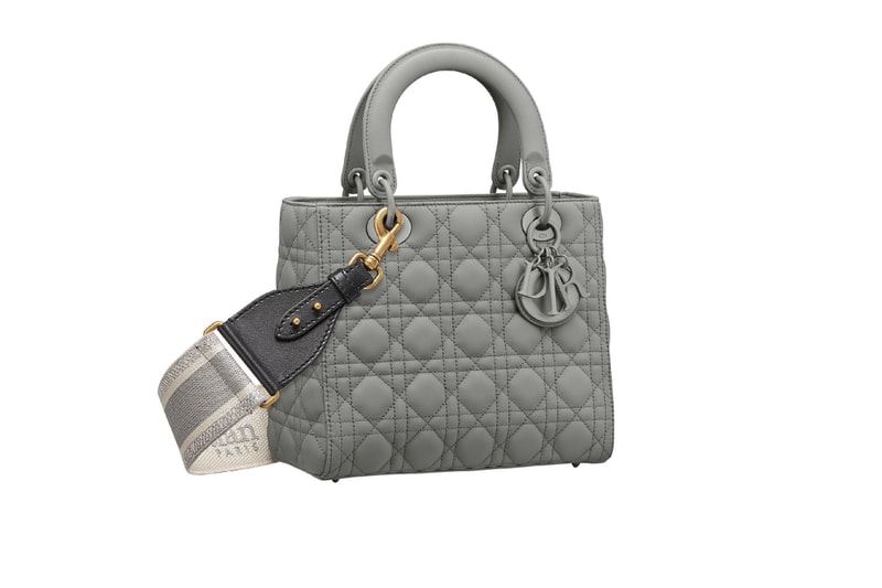 dior-2020-ultra-matte-handbags-saddle-bag-lady-dior-30-montaigne
