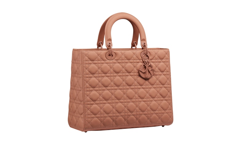 dior-2020-ultra-matte-handbags-saddle-bag-lady-dior-30-montaigne