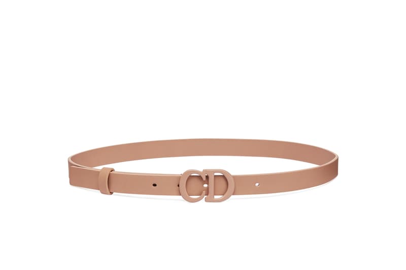 dior-2020-ultra-matte-handbags-saddle-bag-lady-dior-30-montaigne