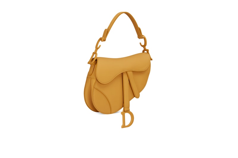 dior-2020-ultra-matte-handbags-saddle-bag-lady-dior-30-montaigne