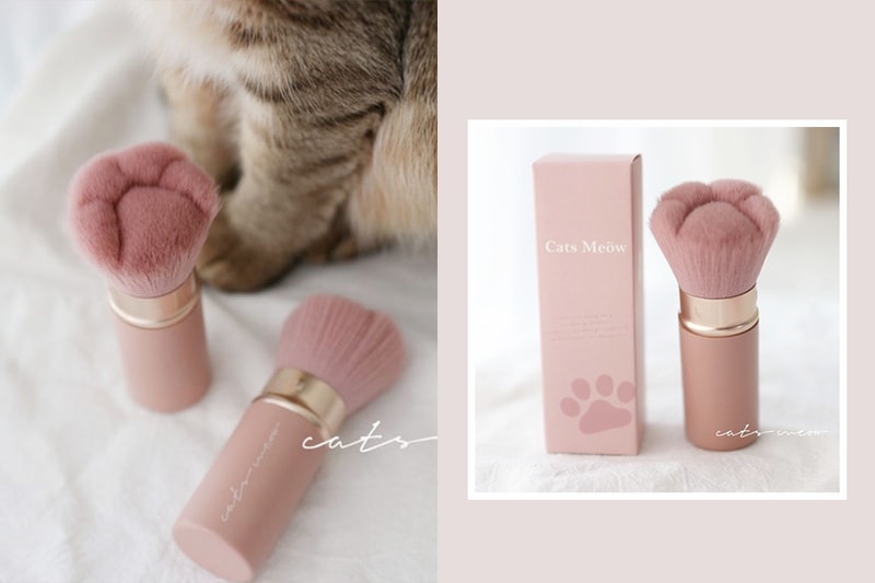 Make Up Brush taiwan beauty brand Cats Meöw