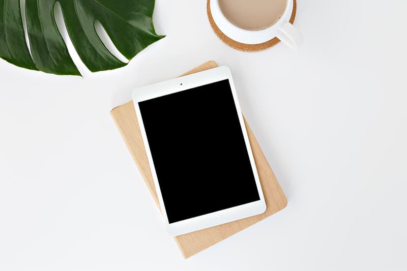 apple ipad mini lower priced info