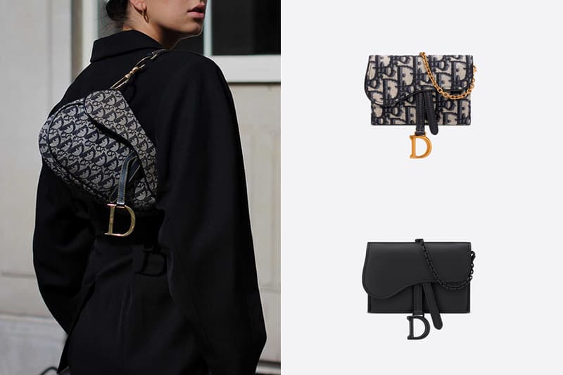 dior saddle nano pouch wallet cardholder mini bags