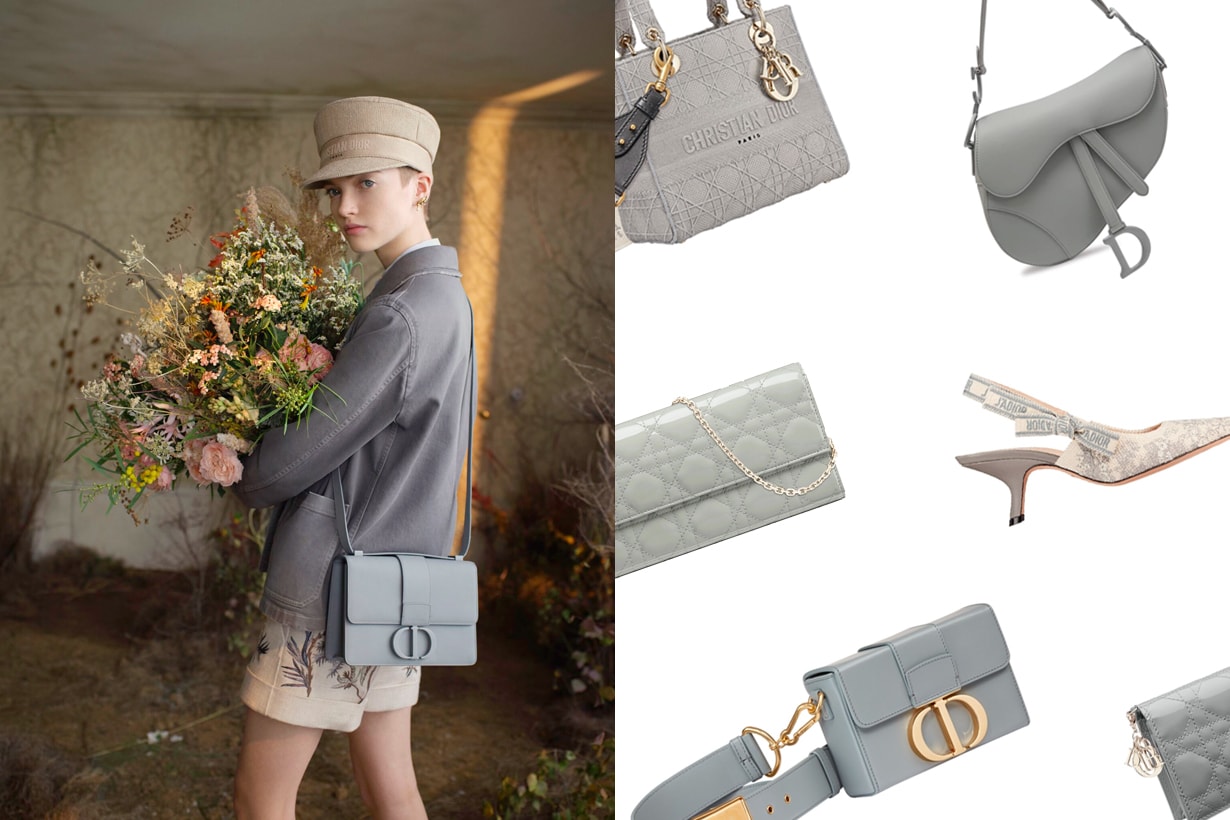 dior grey handbags shoes Gris Trianon ss20