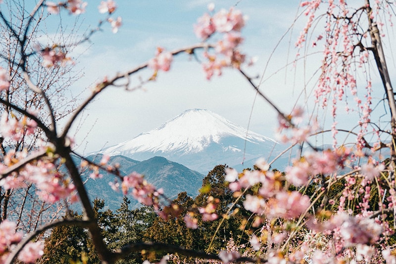 japan mount fuji closed hiking trails 2020 coronavirus