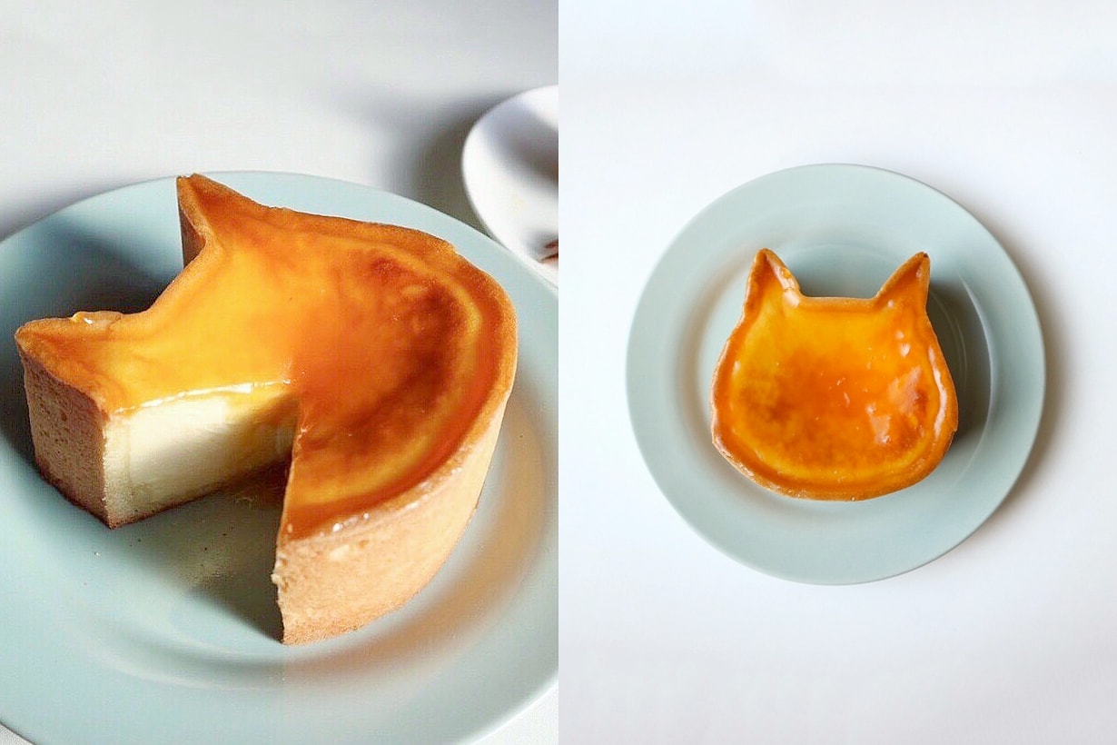 nekoneko cheesecake cat dessert japan