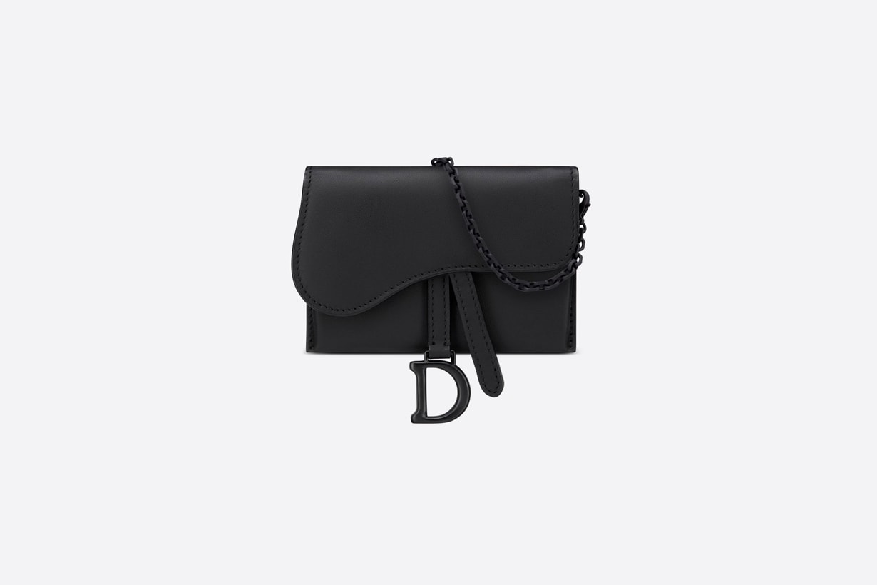 dior saddle nano pouch wallet cardholder mini bags